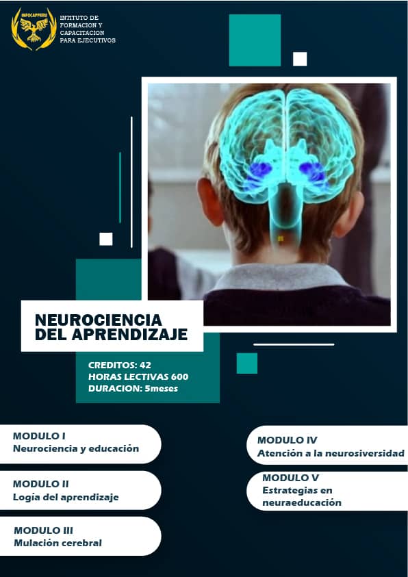 NEUROCIENCIA DEL APRENDICAJE-100